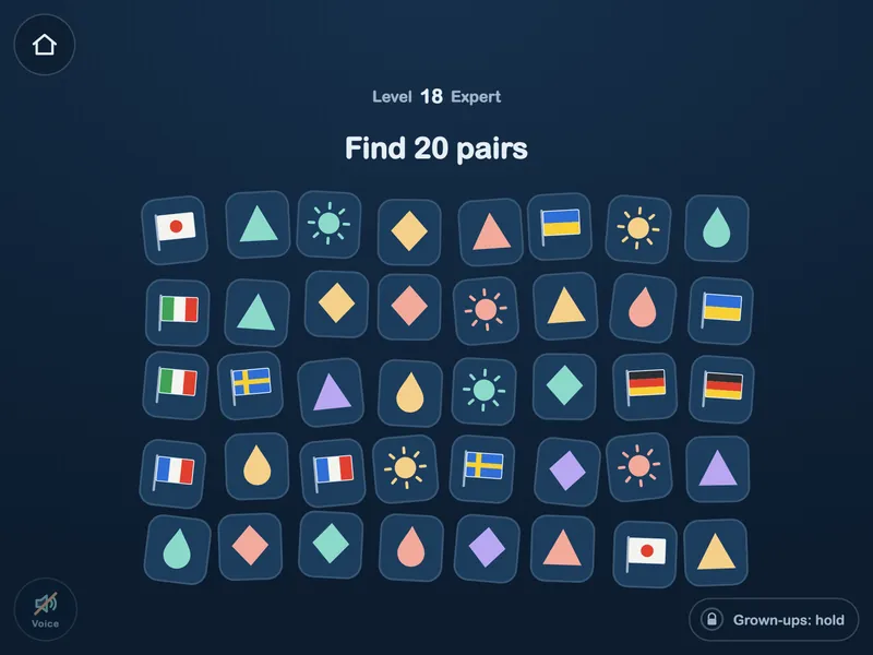 The Memory game at Expert level 18: find 20 pairs among forty cards of flags, shapes, suns and drops